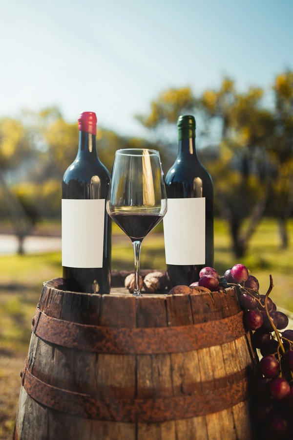 Les raisons d'acheter du vin primeur 2023 ?